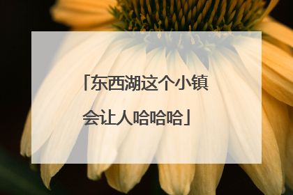 东西湖这个小镇会让人哈哈哈