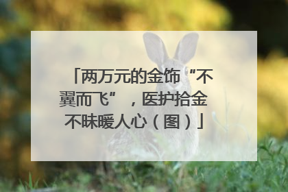 两万元的金饰“不翼而飞”，医护拾金不昧暖人心（图）