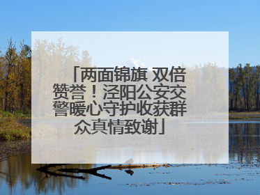 两面锦旗 双倍赞誉！泾阳公安交警暖心守护收获群众真情致谢