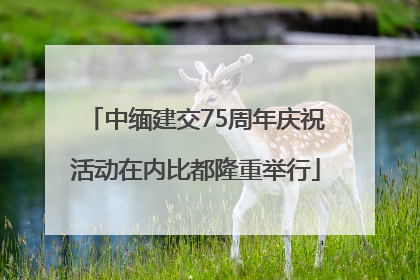 中缅建交75周年庆祝活动在内比都隆重举行