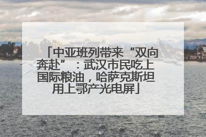 中亚班列带来“双向奔赴”：武汉市民吃上国际粮油，哈萨克斯坦用上鄂产光电屏