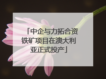 中企与力拓合资铁矿项目在澳大利亚正式投产