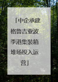 中企承建格鲁吉亚波季港集装箱堆场投入运营