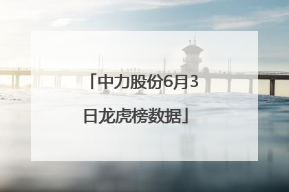 中力股份6月3日龙虎榜数据