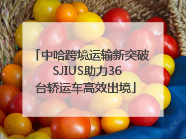 中哈跨境运输新突破 SJIUS助力36台轿运车高效出境