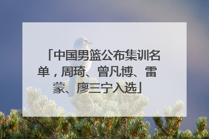 中国男篮公布集训名单，周琦、曾凡博、雷蒙、廖三宁入选