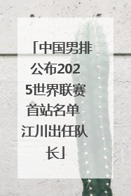 中国男排公布2025世界联赛首站名单 江川出任队长