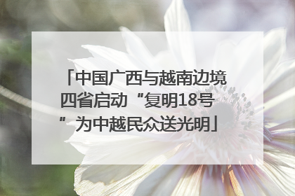 中国广西与越南边境四省启动“复明18号”为中越民众送光明