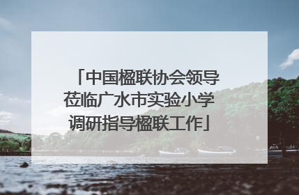 中国楹联协会领导莅临广水市实验小学调研指导楹联工作
