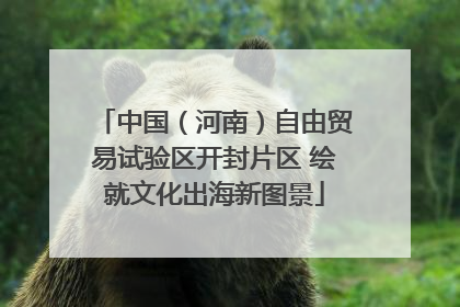 中国（河南）自由贸易试验区开封片区 绘就文化出海新图景