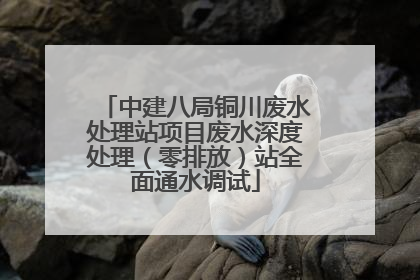 中建八局铜川废水处理站项目废水深度处理（零排放）站全面通水调试