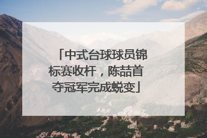 中式台球球员锦标赛收杆，陈喆首夺冠军完成蜕变