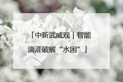 中新武威观｜智能滴灌破解“水困”