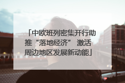 中欧班列密集开行助推“落地经济” 激活周边地区发展新动能