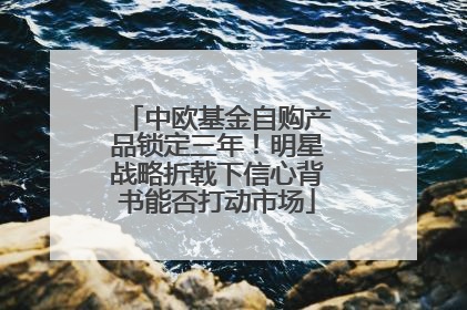 中欧基金自购产品锁定三年！明星战略折戟下信心背书能否打动市场