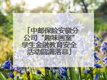 中邮保险安徽分公司“趣味画室”学生金融教育安全活动圆满落幕