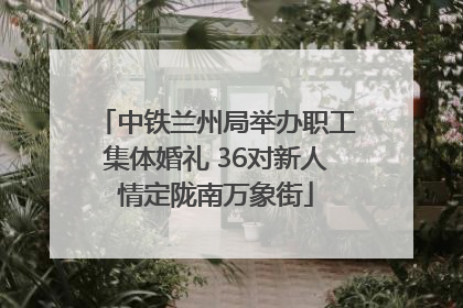 中铁兰州局举办职工集体婚礼 36对新人情定陇南万象街