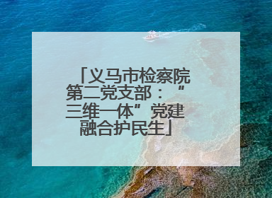 义马市检察院第二党支部：“三维一体”党建融合护民生