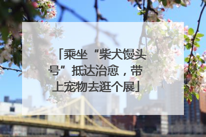 乘坐“柴犬馒头号”抵达治愈，带上宠物去逛个展
