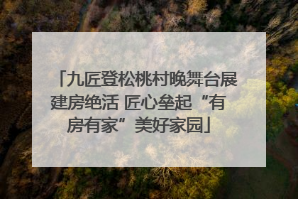 九匠登松桃村晚舞台展建房绝活 匠心垒起“有房有家”美好家园