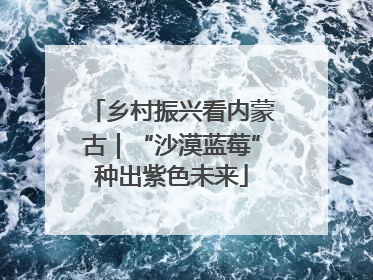 乡村振兴看内蒙古｜“沙漠蓝莓”种出紫色未来