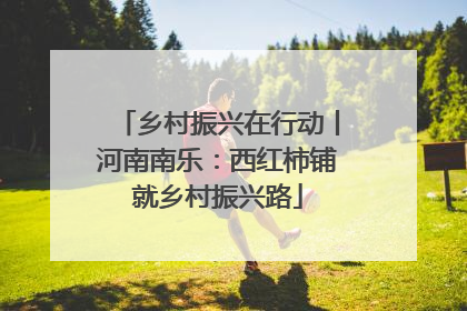 乡村振兴在行动丨河南南乐：西红柿铺就乡村振兴路