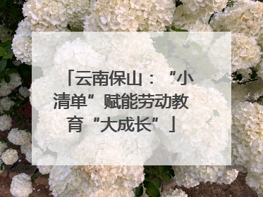 云南保山：“小清单”赋能劳动教育“大成长”