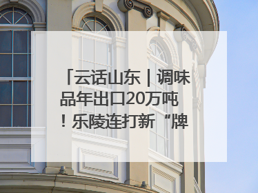云话山东｜调味品年出口20万吨！乐陵连打新“牌”助力企业出海