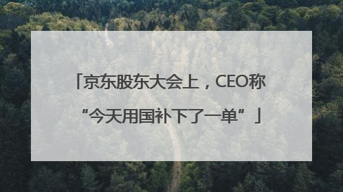京东股东大会上，CEO称“今天用国补下了一单”