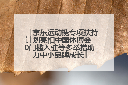 京东运动携专项扶持计划亮相中国体博会 0门槛入驻等多举措助力中小品牌成长