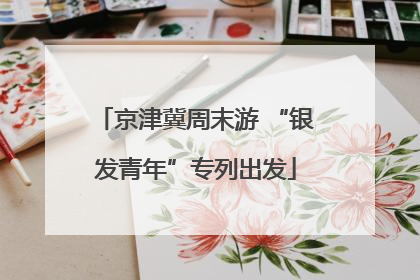 京津冀周末游 “银发青年”专列出发