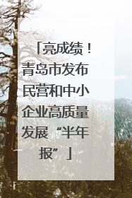 亮成绩！青岛市发布民营和中小企业高质量发展“半年报”