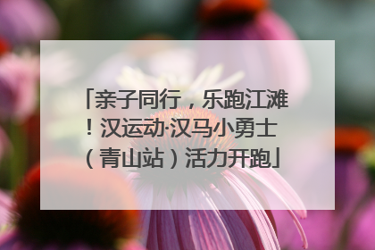 亲子同行，乐跑江滩！汉运动·汉马小勇士（青山站）活力开跑