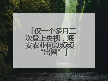 仅一个多月三次登上央视，海安农业何以频频“出圈”