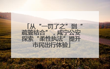 从“一罚了之”到“疏管结合”，咸宁公安探索“柔性执法”提升市民出行体验