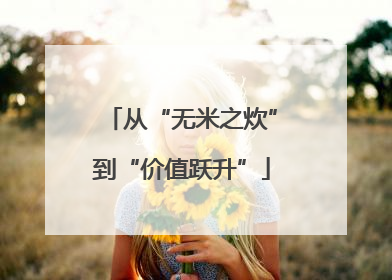 从“无米之炊”到“价值跃升”