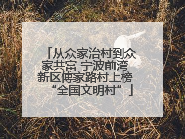 从众家治村到众家共富 宁波前湾新区傅家路村上榜“全国文明村”