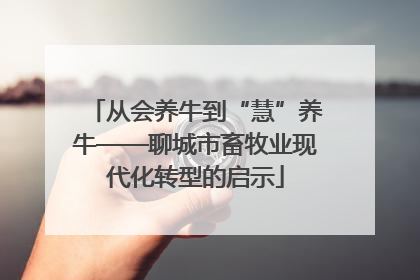 从会养牛到“慧”养牛——聊城市畜牧业现代化转型的启示