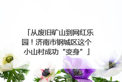 从废旧矿山到网红乐园！济南市钢城区这个小山村成功“变身”
