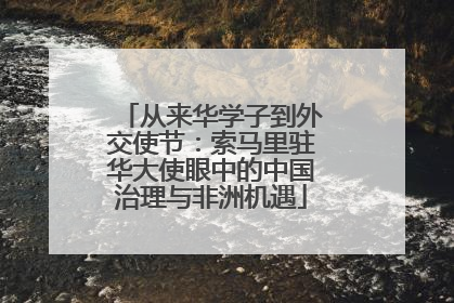 从来华学子到外交使节：索马里驻华大使眼中的中国治理与非洲机遇