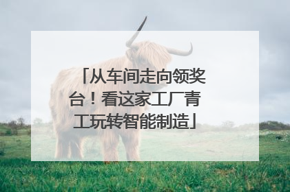 从车间走向领奖台！看这家工厂青工玩转智能制造