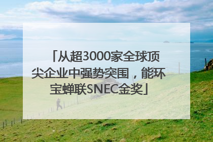 从超3000家全球顶尖企业中强势突围，能环宝蝉联SNEC金奖