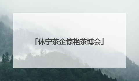 休宁茶企惊艳茶博会