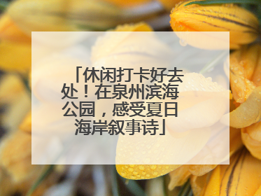 休闲打卡好去处！在泉州滨海公园，感受夏日海岸叙事诗