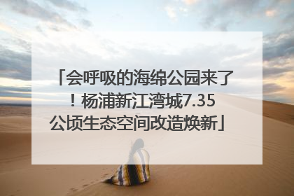 会呼吸的海绵公园来了！杨浦新江湾城7.35公顷生态空间改造焕新