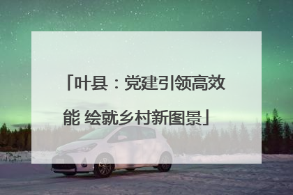 叶县：党建引领高效能 绘就乡村新图景