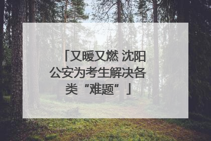 又暖又燃 沈阳公安为考生解决各类“难题”