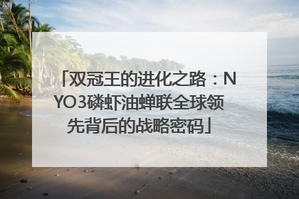 双冠王的进化之路：NYO3磷虾油蝉联全球领先背后的战略密码
