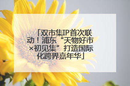 双市集IP首次联动！浦东“天物好市×初见集”打造国际化跨界嘉年华