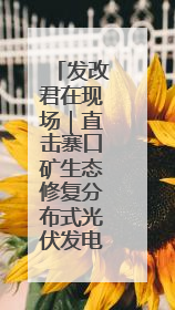 发改君在现场｜直击寨口矿生态修复分布式光伏发电项目